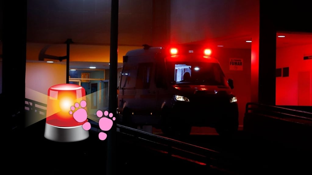 Bebé ingresa al IMSS Durango por fuerte golpe en la cabeza tras caída accidental