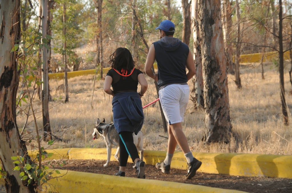 Protección. Los Parques albergan gran cantidad de flora y fauna que se debe preservar y cuidar.