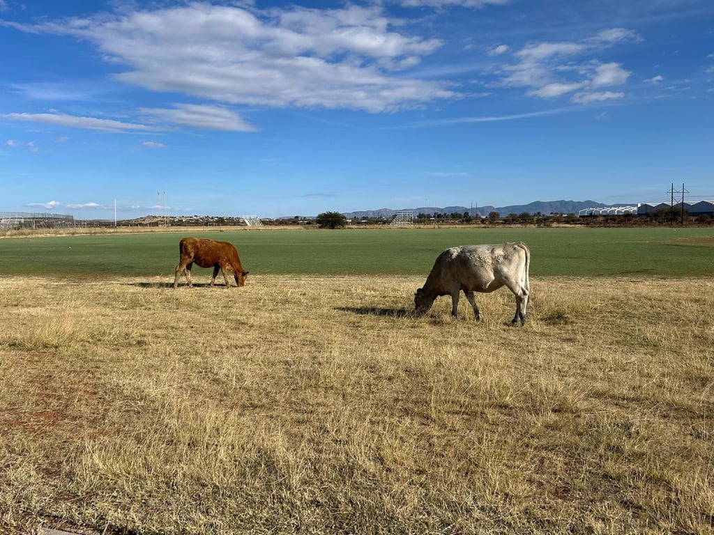 Alzan la voz por el estado del Polideportivo Mario Vázquez Raña