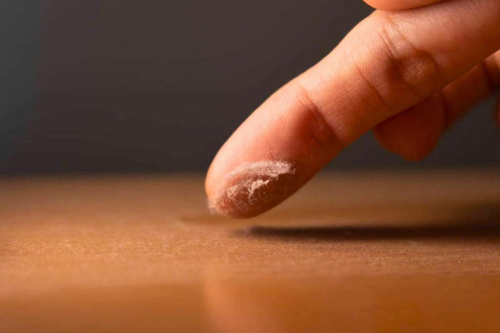 ¿El polvo de la casa es tóxico?