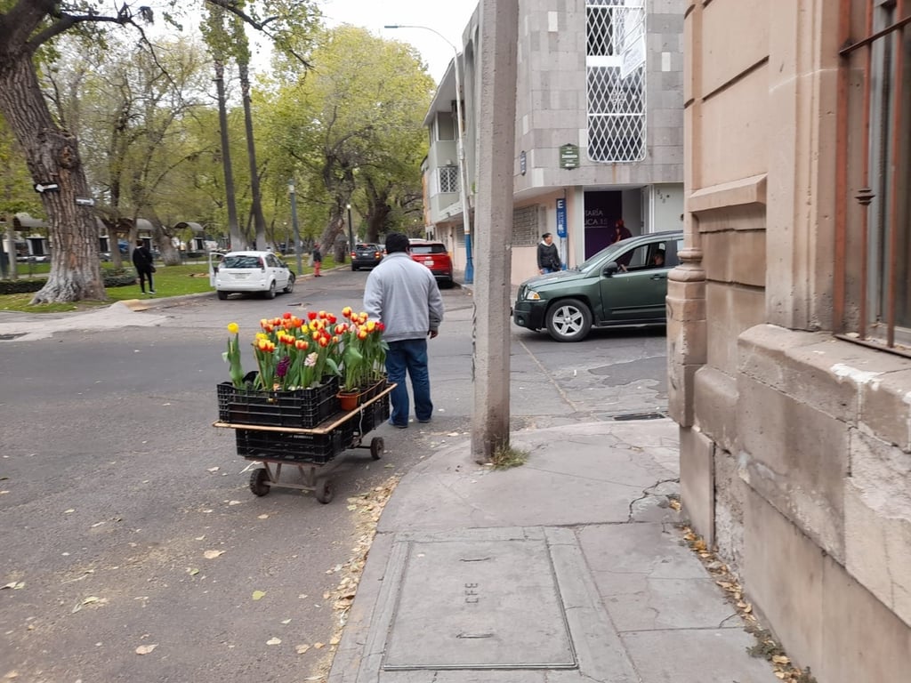 Perfil. Los vendedores llegan por temporadas desde otros estados; en el caso de los tulipanes, los comerciantes provienen de Oaxaca.