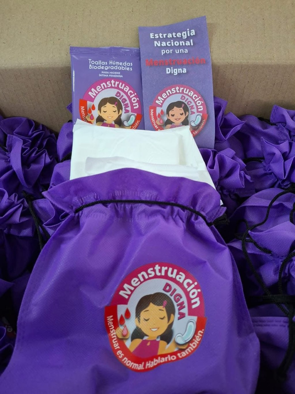 Kits. Se entregan paquetes a las estudiantes con información importante sobre el periodo menstrual.