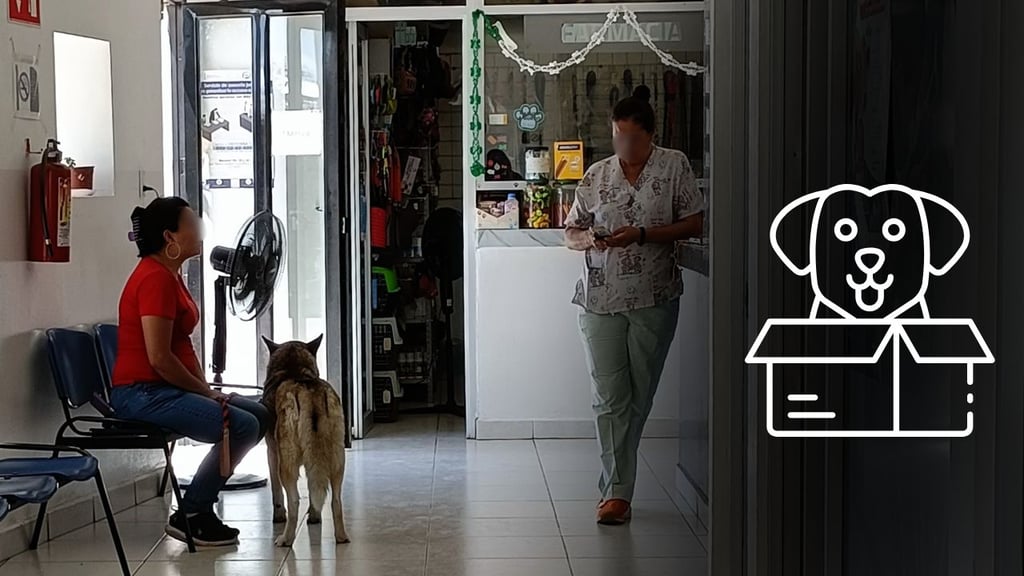 Centro de Atención Animal en Durango, reportó 400 adopciones durante 2025