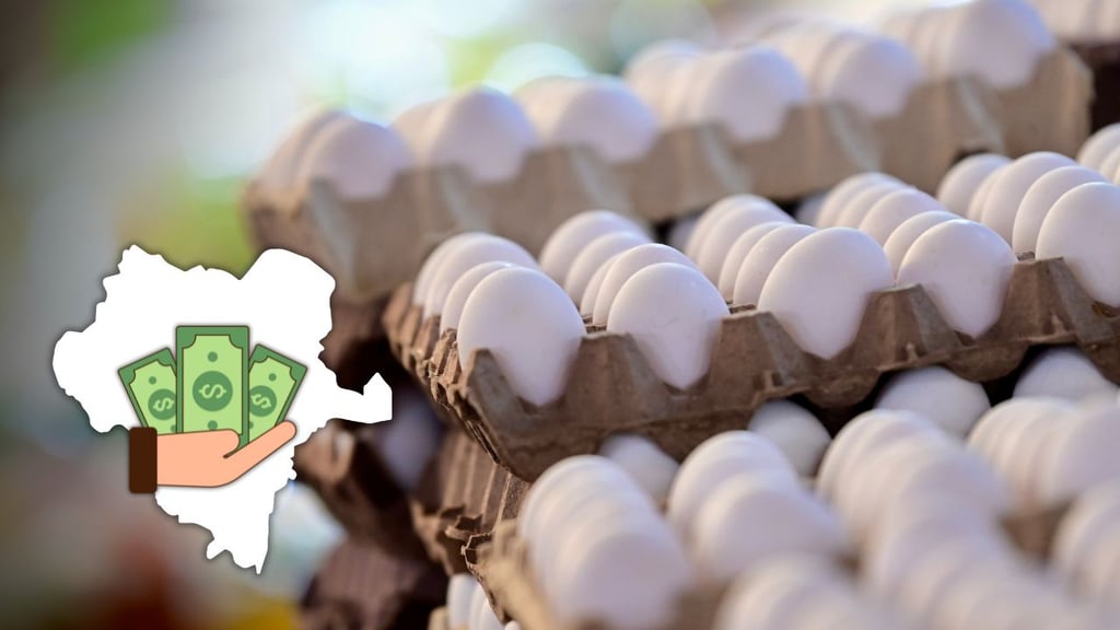 ¿Cuánto cuesta el huevo en Durango? Esto dice la Profeco