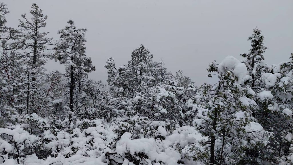 Acción. La tormenta invernal 'Fern' provocó interrupciones eléctricas en Guanaceví y Tamazula, pero el servicio quedó totalmente restablecido.