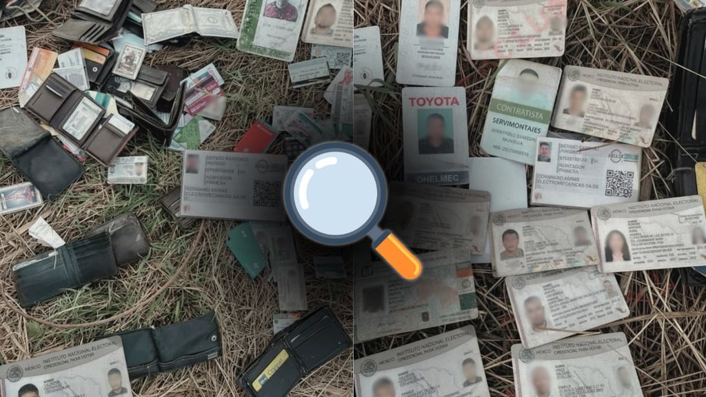 Esto se sabe de las credenciales y tarjetas bancarias halladas en una carretera de Sinaloa