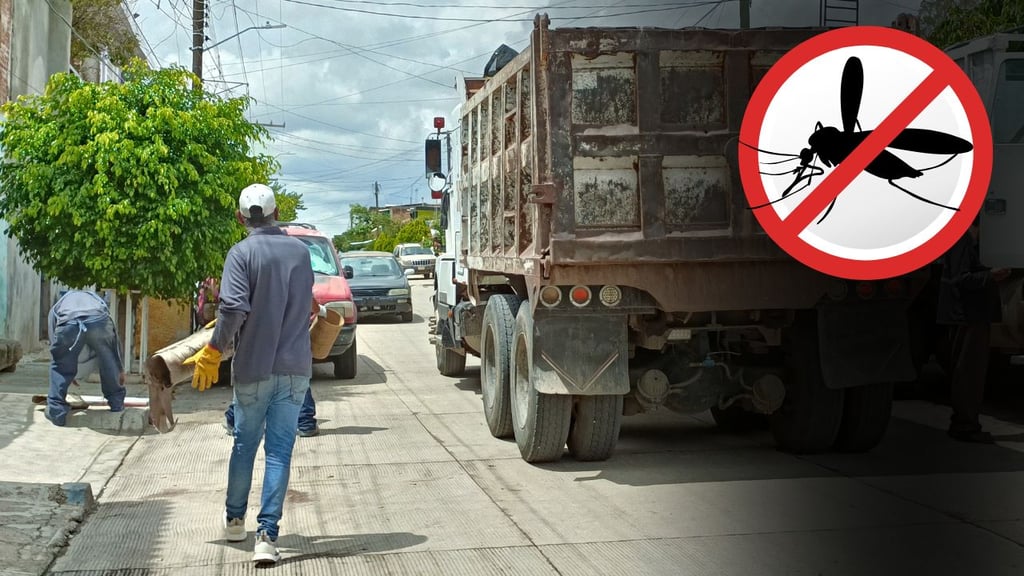 Piden en Durango que patios y azoteas estén limpios de cacharros para evitar enfermedades