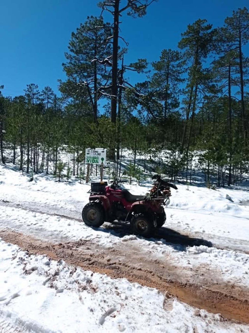 Clima. Ya pasaron algunos días de la nevada en la sierra de Guanaceví, pero la nieve se mantiene.