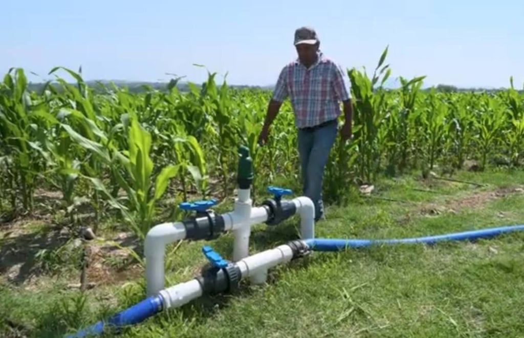 Agrícola. Esperan tener un registro para otorgar subsidios en la energía eléctrica y generen rentabilidad en su producción.