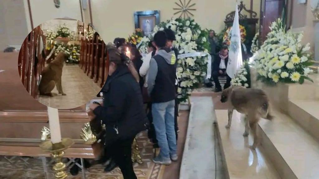 El perrito que se despidió del Padre Badillo durante su misa de velación