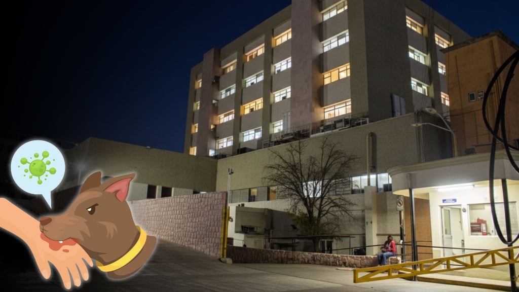 Niña de 3 años ingresa al Materno Infantil tras ser mordida por un perro