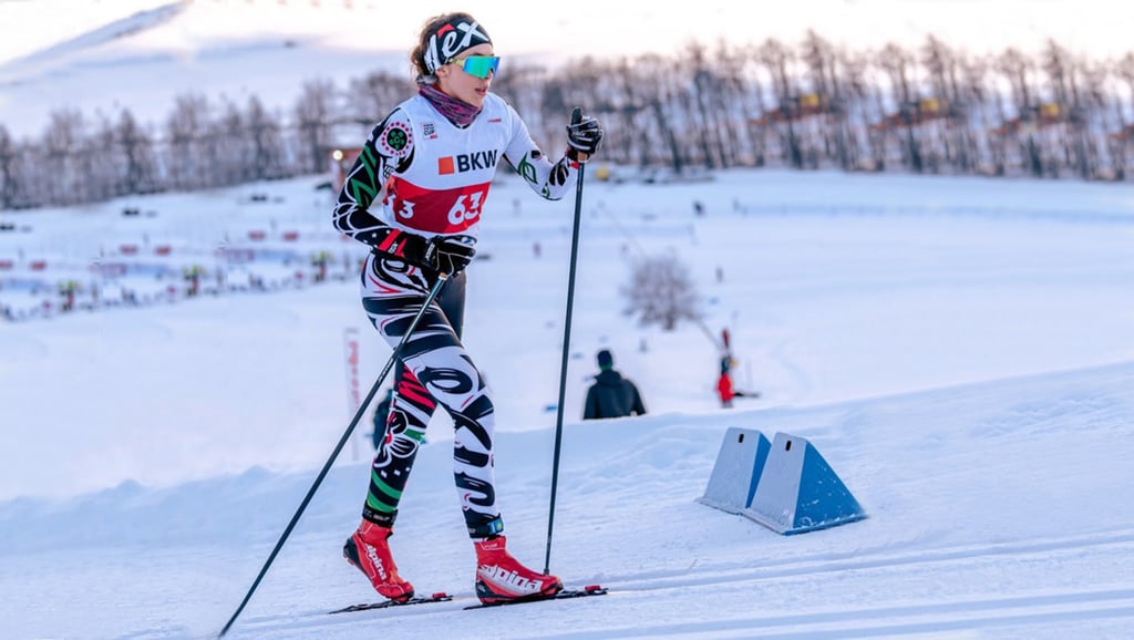 Mexicanos en los Juegos Olímpicos de Invierno