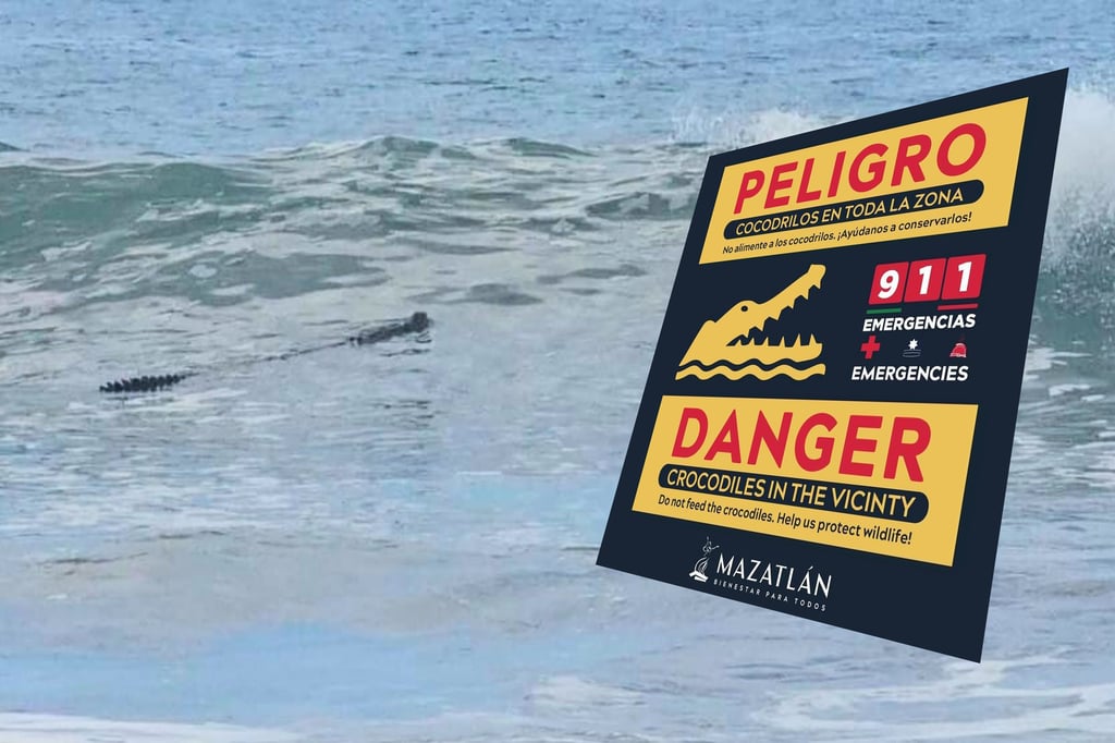 Cierran temporalmente Playa Cerritos en Mazatlán por presencia de cocodrilo