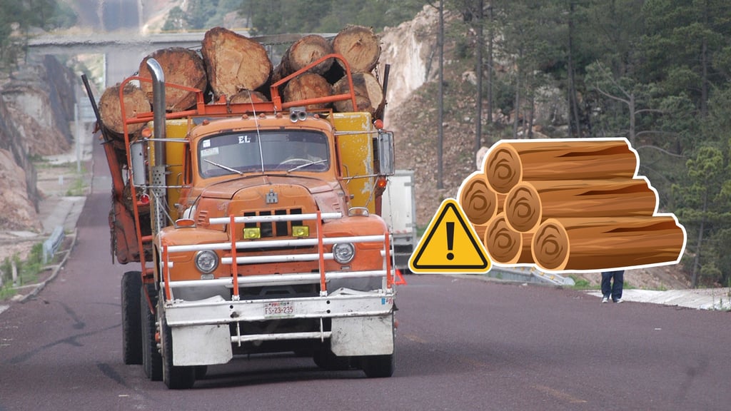 Tala ilegal deja 81 denuncias en Durango en 2025; decomisos superan mil metros cúbicos de madera