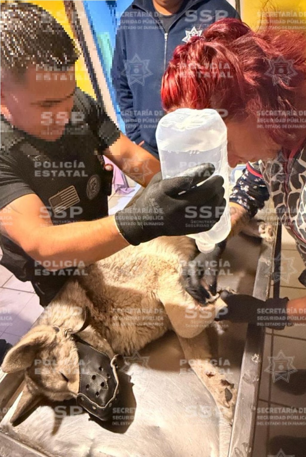 Caso. José arrastraba al perro de raza Husky con su motocicleta en Nombre de Dios, razón por la cual fue arrestado.