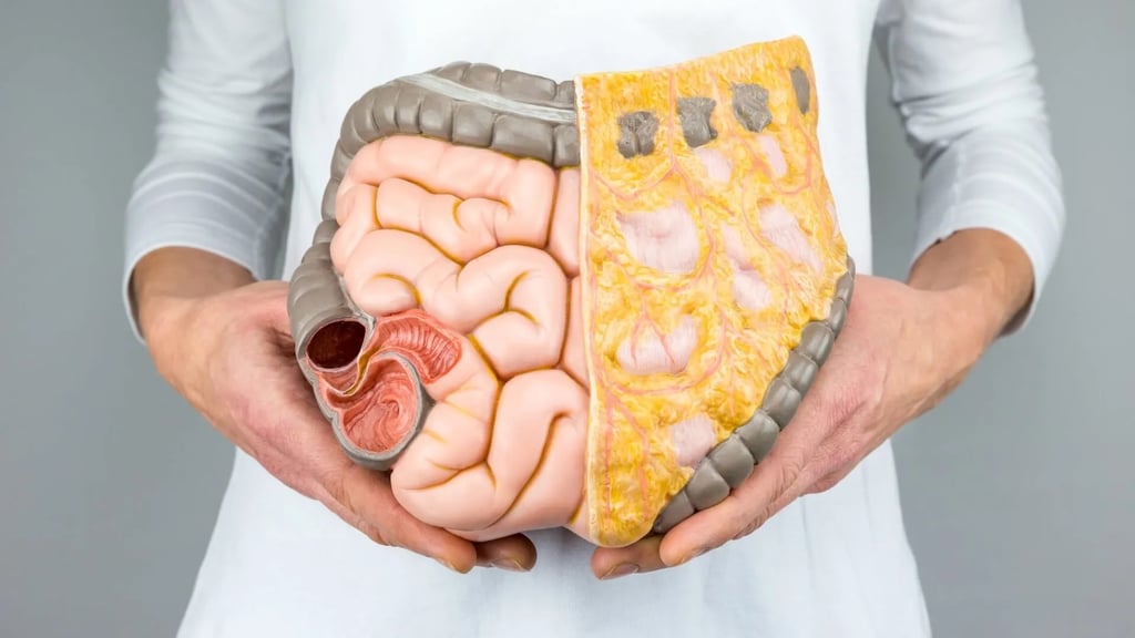 ¿Qué es la grasa visceral y por qué es importante?