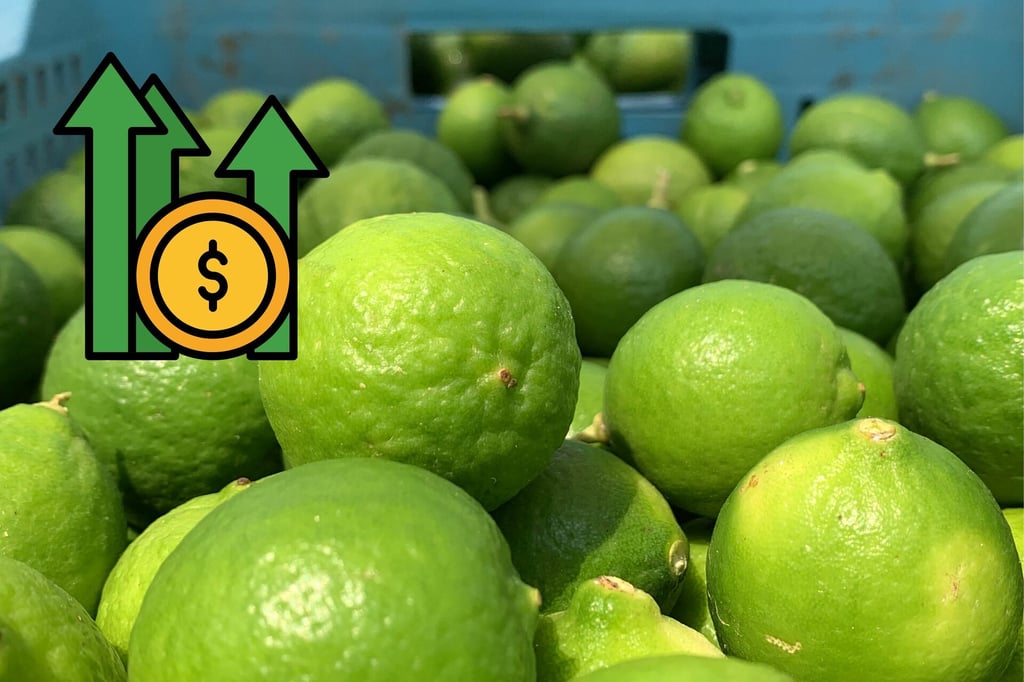 Sigue al alza el precio de la canasta básica en Durango