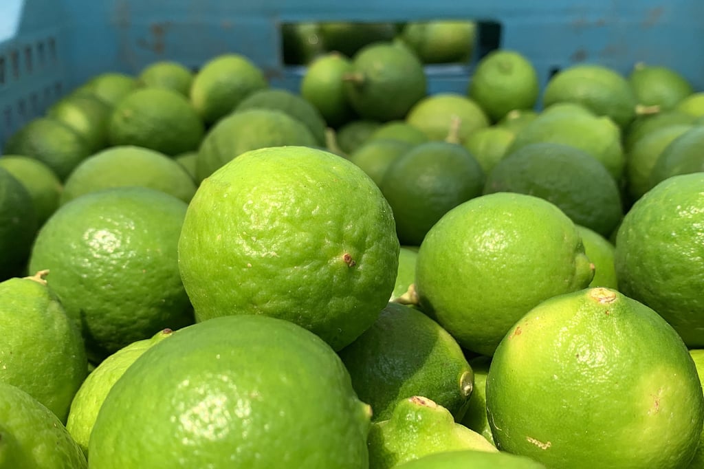 Costo. La geografía de Durango también es un factor por el que todo es más caro. 