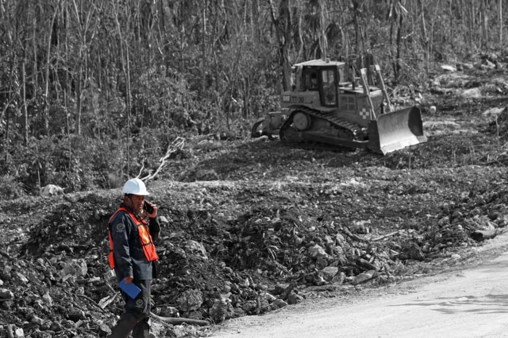 Tren Maya: tribunal ordena suspender obras del tramo 5 por daño ambiental