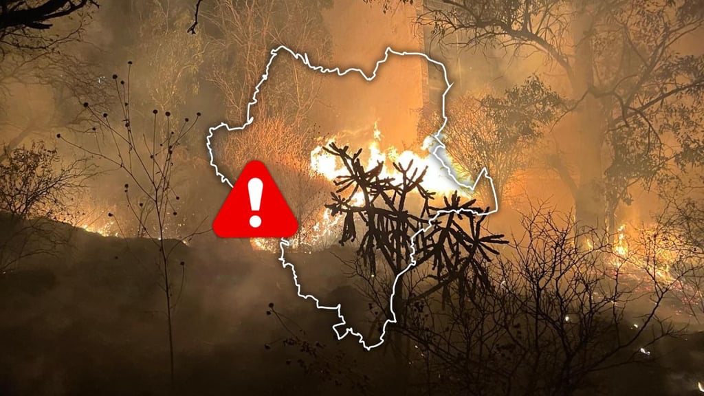 Al menos 31 incendios se reportaron en Durango durante el fin de semana