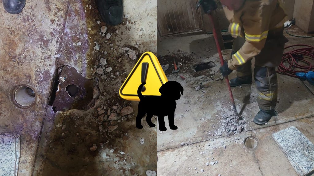 Rescatan a cachorro que cayó a drenaje en Chulas Fronteras