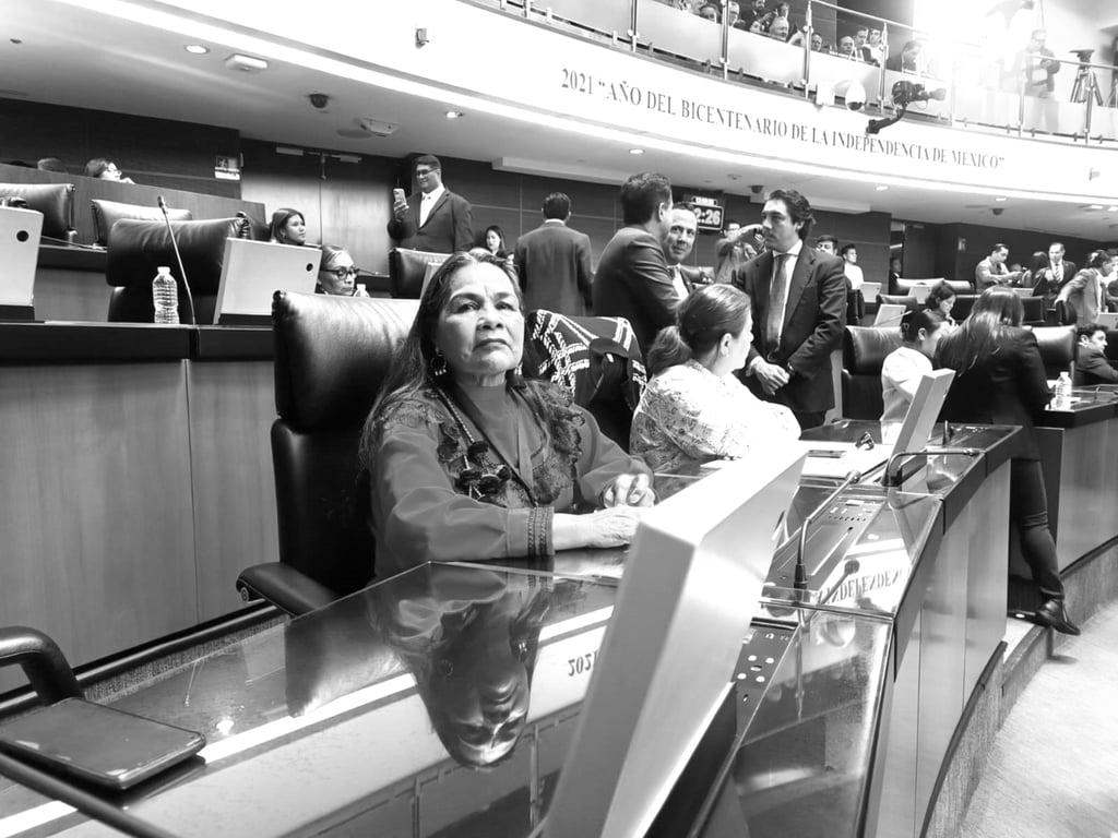 Orgullo. A través de la lengua se dialoga, se acuerda y se construye la vida, destacó la duranguense en su mensaje en el Senado. 