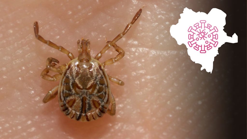 Durango registra letalidad del 46% por rickettsiosis: reportó 6 muertes durante 2025 