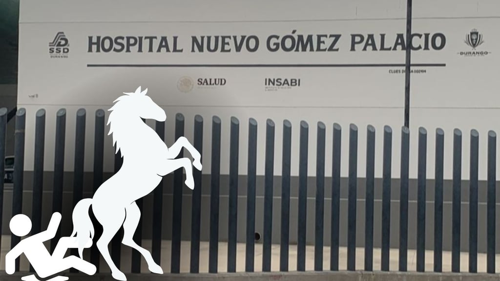 Adolescente está grave tras caer mientras montaba un caballo con una amiga