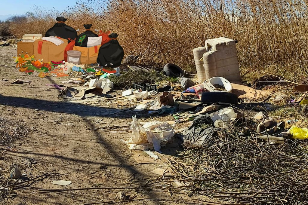 Hasta salas completas tiran en lotes baldíos de Durango