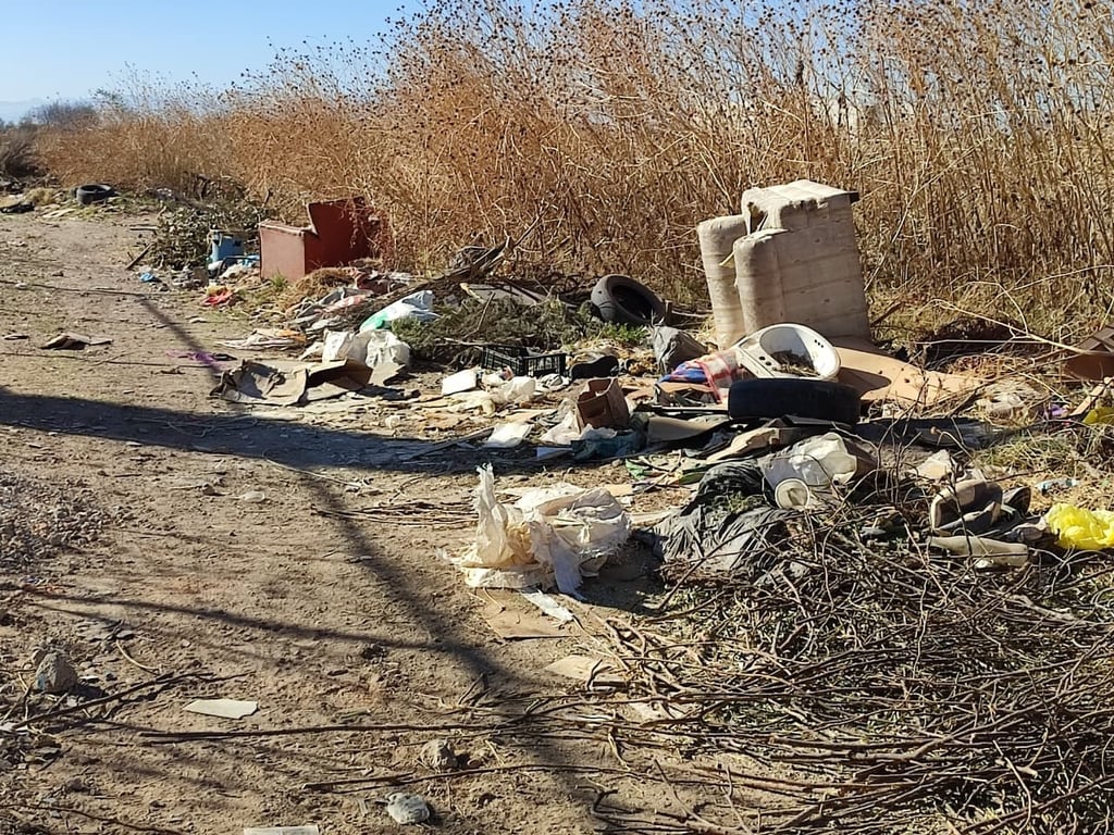 Hasta salas completas tiran en baldíos