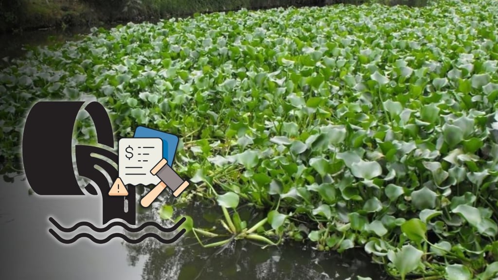 Aplicarán sanciones severas por verter aguas negras en el río Tunal