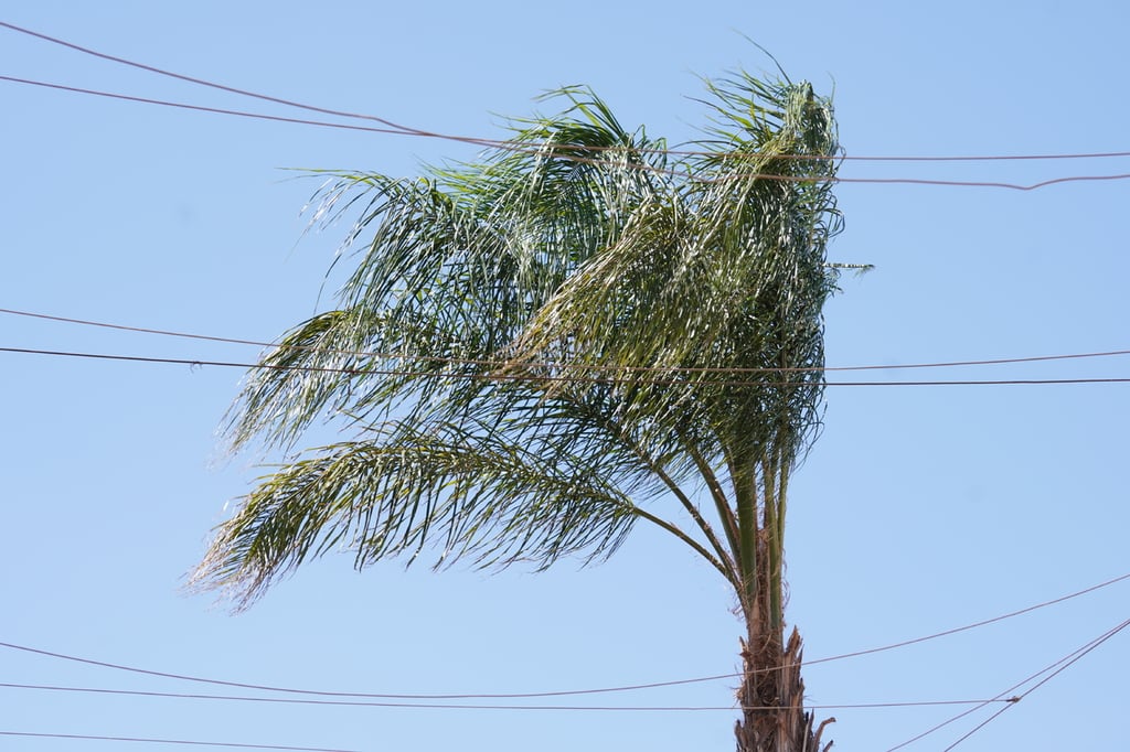 Clima.  Durante el fin de semana habrá vientos en promedio de entre 40 y 50 kilómetros por hora en la ciudad de Durango.