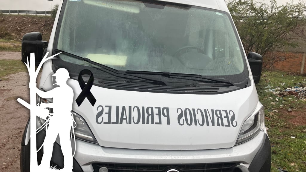 Muere trabajador tras ser golpeado por pino mientras realizaba labores forestales en San Dimas