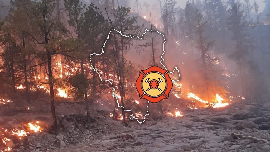 Activan brigadas en municipios de Durango con mayor incidencia de incendios forestales