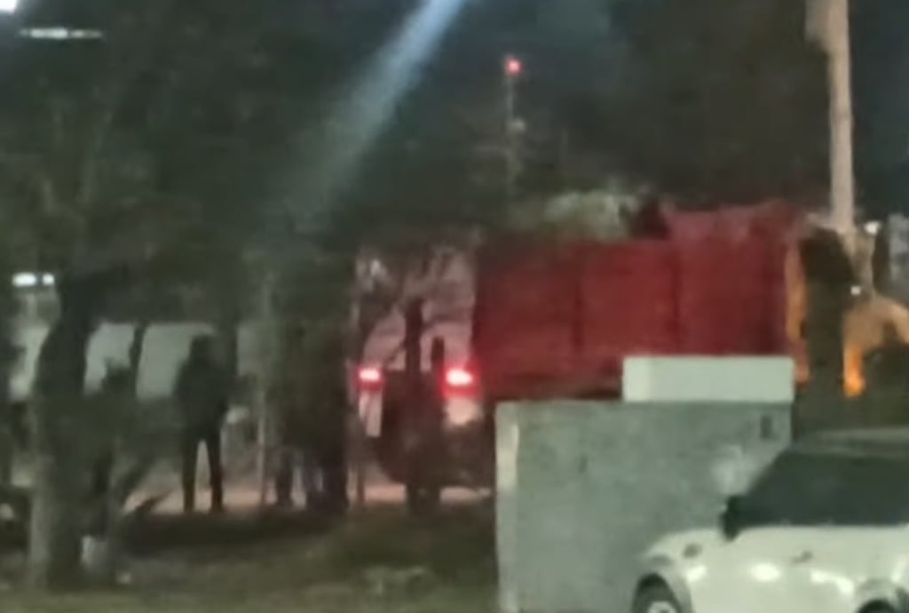 Tronco. Señalan que algunos de los árboles eran de gran tamaño.




