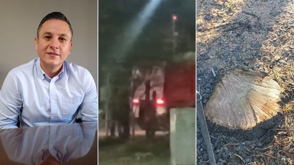 Derribo de árboles frente al Panteón de Oriente fue por solicitud de Secope