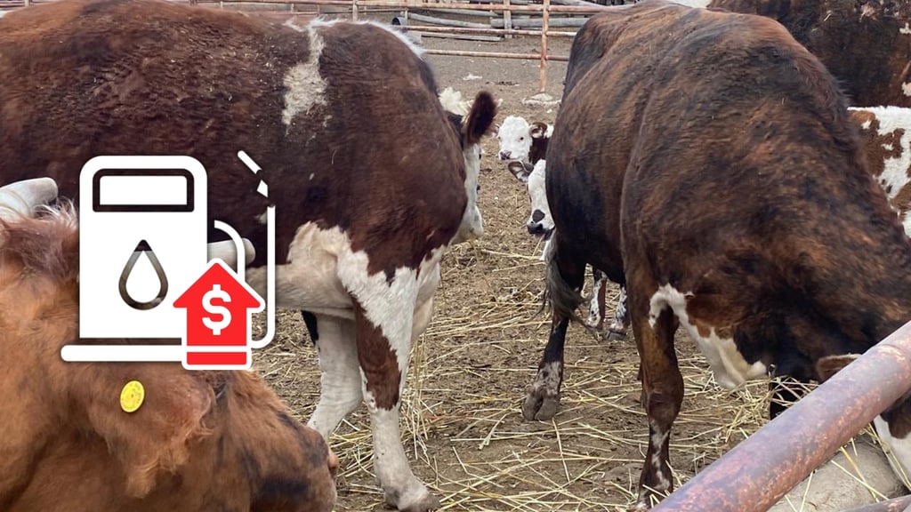 Diésel, indispensable para labores agrícolas y ganaderas en Durango; preocupa incremento