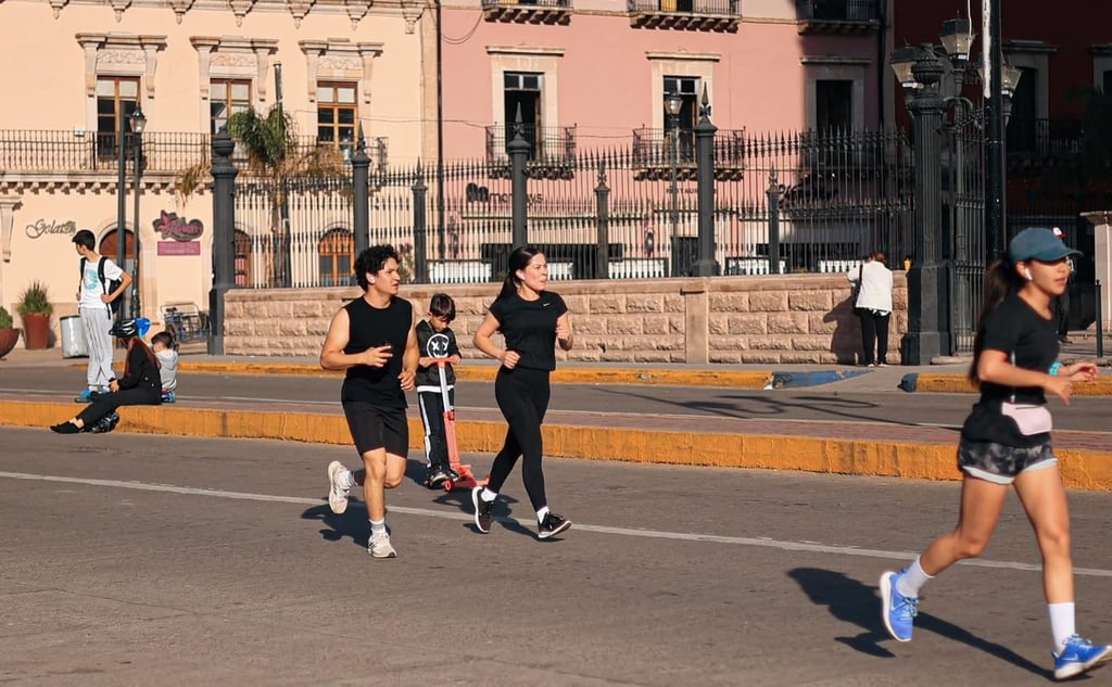 Análisis. Aunque podrían sumarse nuevas actividades, en cuanto a horario y recorrido se mantendrá.