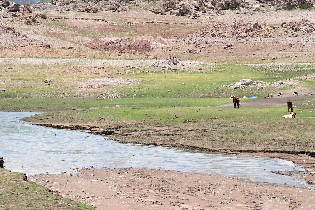Preocupación. Consideran necesario implementar medidas preventivas porque cada vez hay menos agua. 