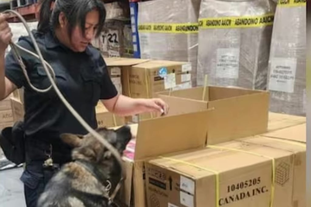 Aseguran en el AICM 22 mil 800 vapeadores; reportan valor de 5.2 mdp