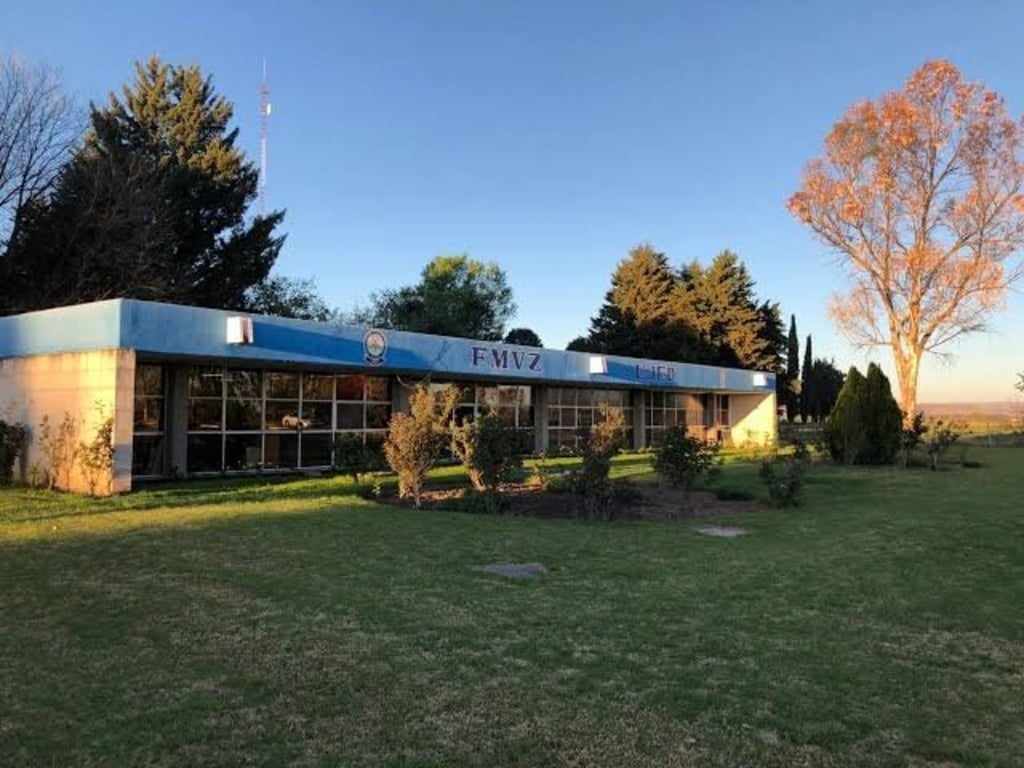 Egresados. 20 estudiantes están listos para incorporarse al mercado laboral en Durango; egresaron de la FMVZ.