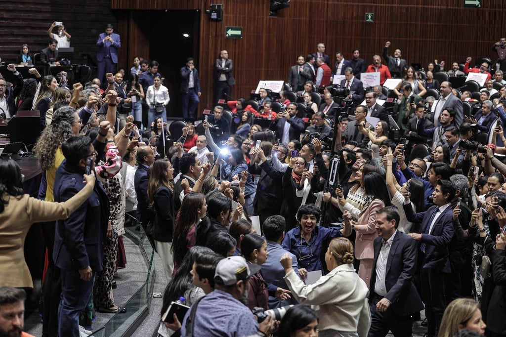 Postura. La diputada por Durango enfatizó que no se incluyeron aspectos fundamentales.