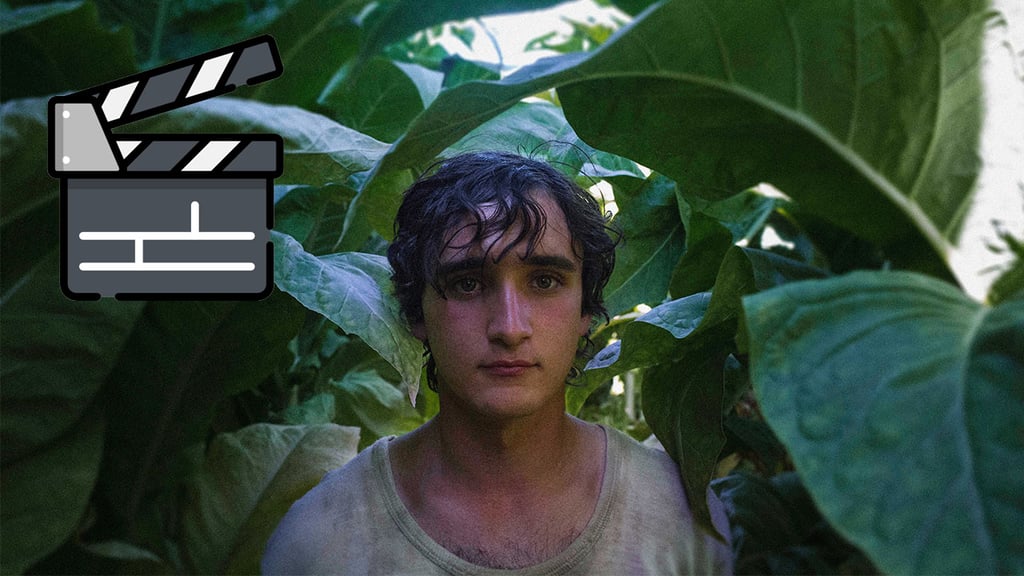 Foto: 01Distribution