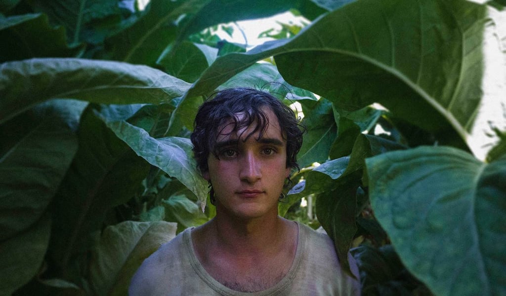 Arte. La cinta de Alice Rohrwacher es una de las películas italianas más celebradas y comentadas de la última década.