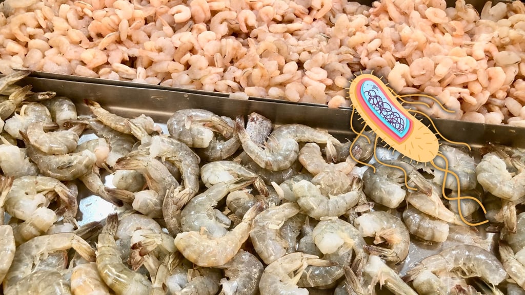 'Negocios de mariscos sancionados por bacteria E. coli no forman parte de Canirac'