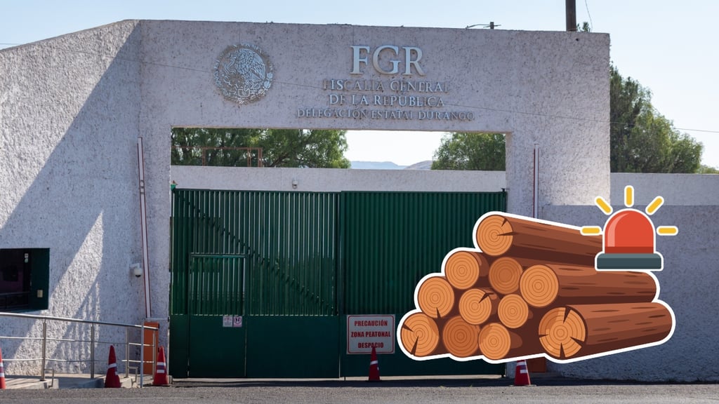 Aseguran carbón y leña tras cateo por delito forestal en Durango