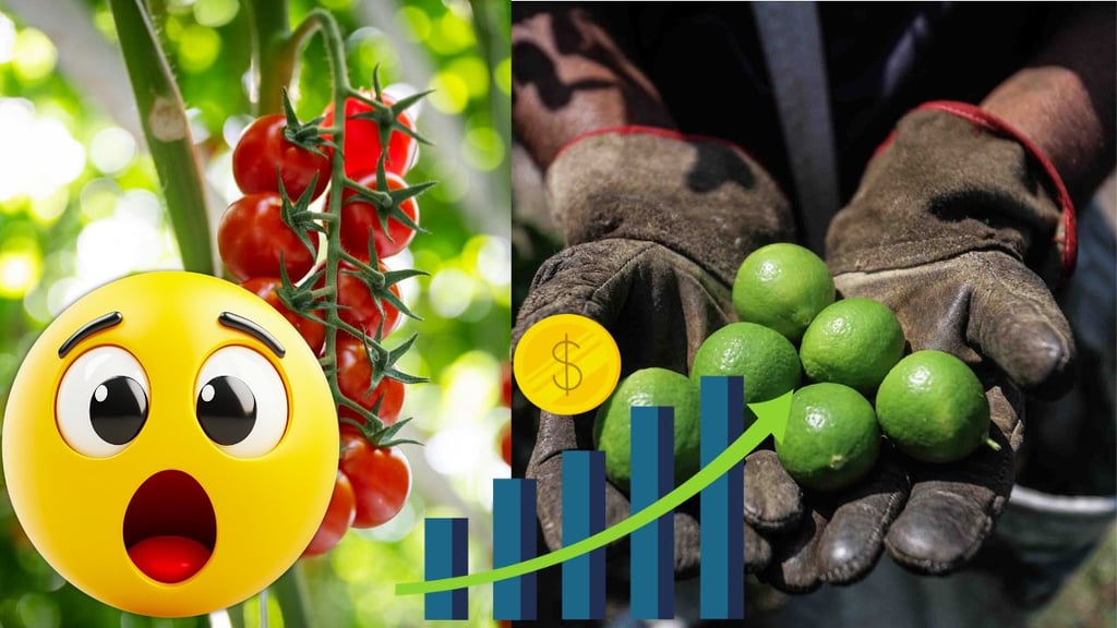 Inflación 2026: ¿Qué productos de la canasta básica subieron más en marzo?