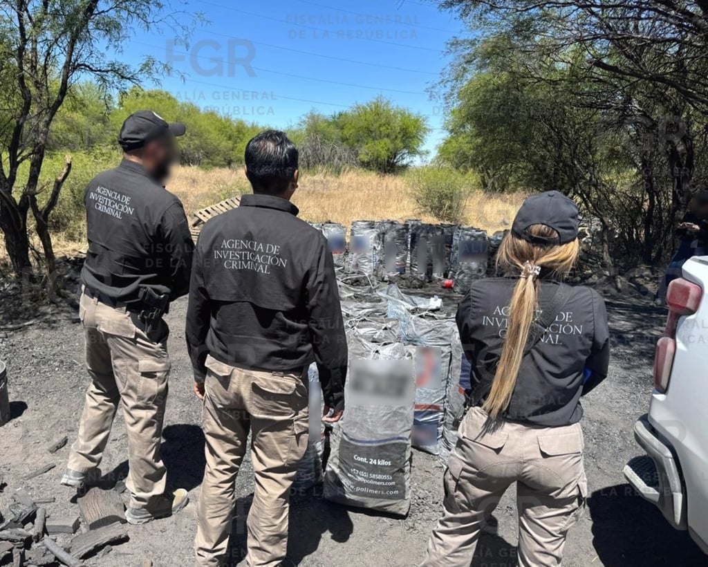 Labor. Aseguraron carbón y leña tras un cateo por delito forestal en Durango.