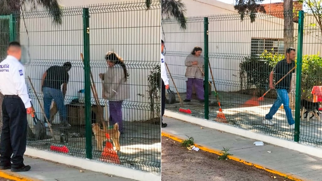 Van 5 casos de maltrato animal en Durango en 2026; aplican trabajo comunitario en lugar de multas