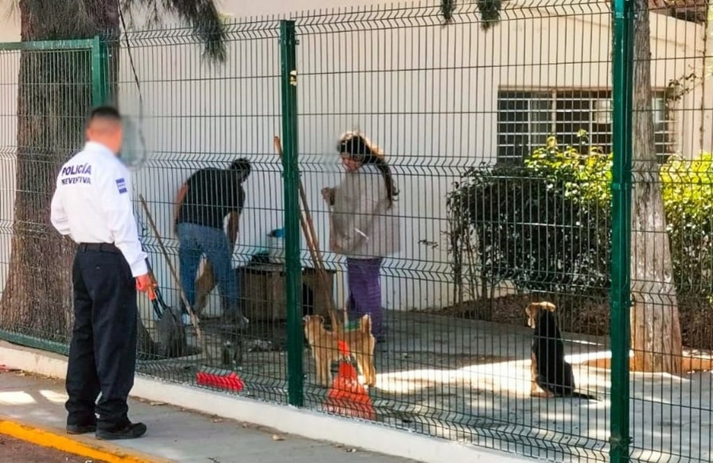 Sanciones. Ninguno de los casos registrados por maltrato ha pagado multa económica hasta el momento.